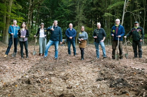 Reckitt, Rossmann und Trinkwasserwald pflanzen Bäume -